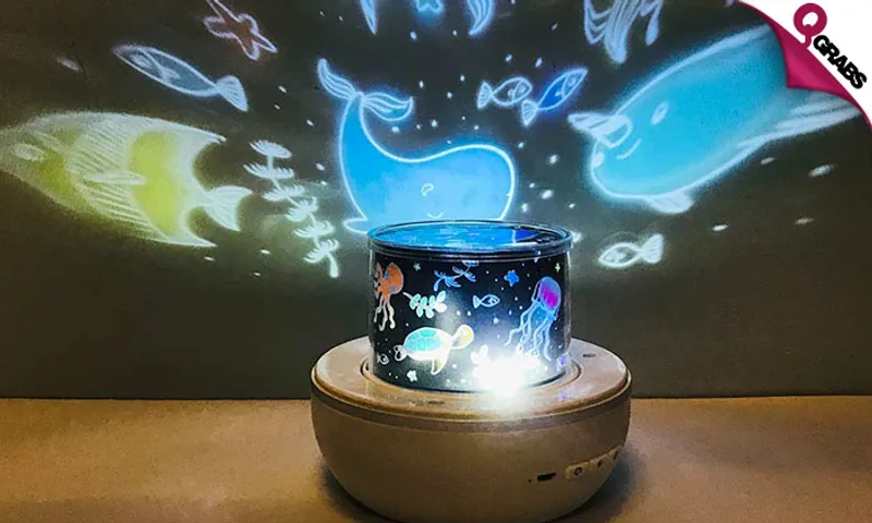 Night Light Projector!
